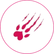 socougar-logo-cul